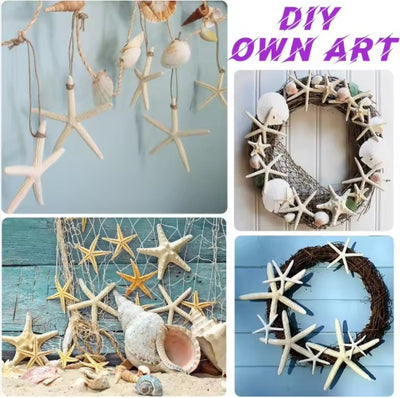 15pcs 2.3-4.3 Inch Starfish Hanging Christmas Tree Ornaments Star Fish Shells Decor For Crafts